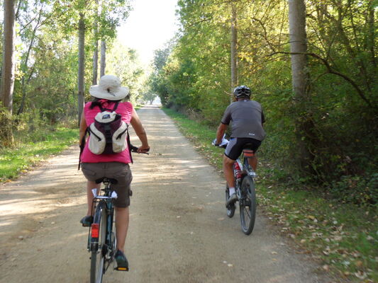 L'Authion à vélo