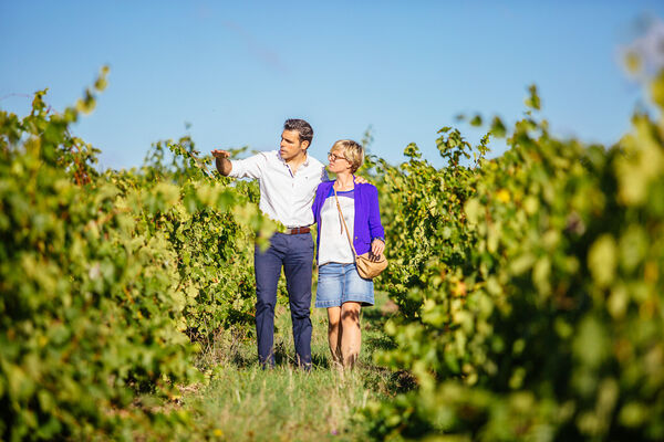 balade-dans-le-vignoble-de-savennieres-copyright-les-conteurs-destination-angers-4492-1000px-928500
