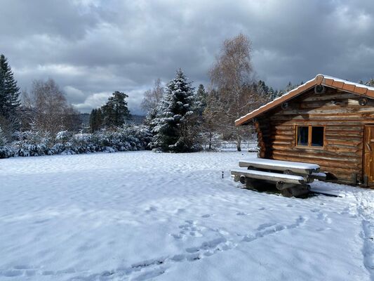 Fuste de l'Ecureuil sous la neige