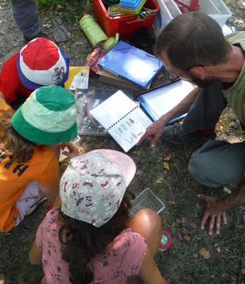 imgcarousel-name-mising