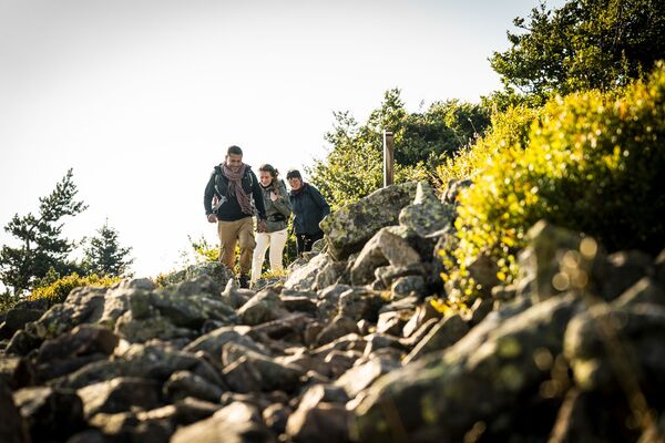Séjour rando guidée 2j sur les Crêts_Le Bessat