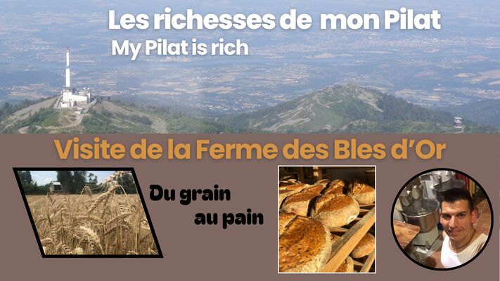 visite de La Ferme des Blés d'Or_Véranne