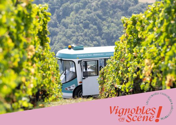 Côte-Rôtie Tour de Vignobles en Scène