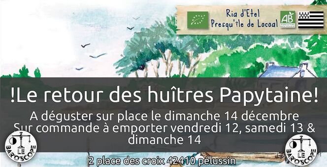 Le retour des huitres Papytaine !!_Pélussin