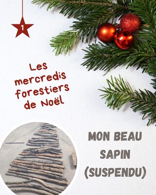 imgcarousel-name-mising