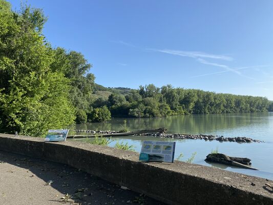 L'Île du Beurre_Tupin-et-Semons