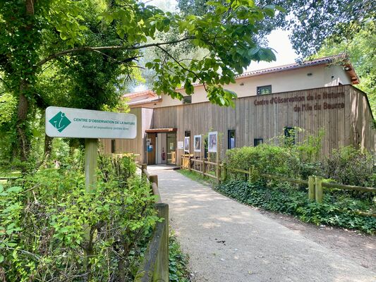 L'Île du Beurre_Tupin-et-Semons