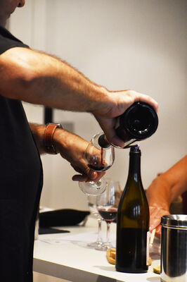 VINS