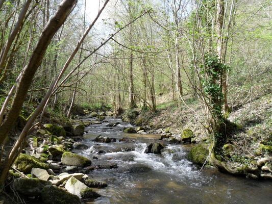 Pêche dans la rivière Valencize_Pélussin