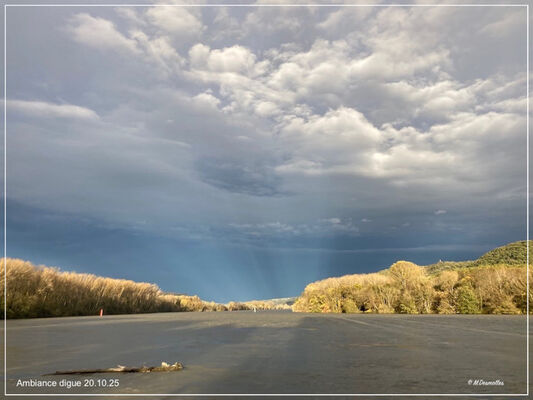 L'Île du Beurre_Tupin-et-Semons