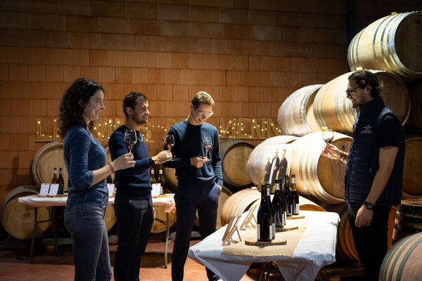 Culture et Vin au Domaine Clusel-Roch_Ampuis