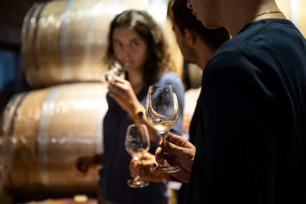 Wine Notes au Domaine de Pimotin_Tupin-et-Semons