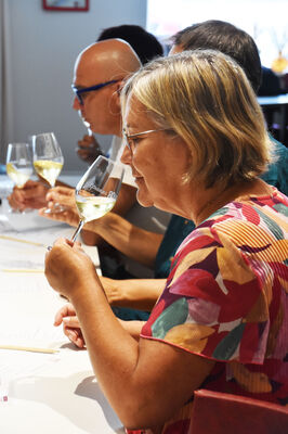 VINS DÉGUSTATION