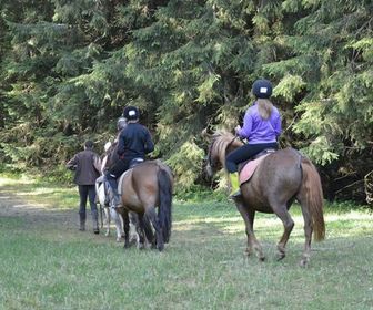 Séjour "Evasion cavalière" au Chalet des Alpes_Le Bessat