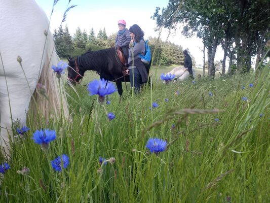 Les Sabots de la Vigne - Balades, randonnées et voyages équestres_Burdignes
