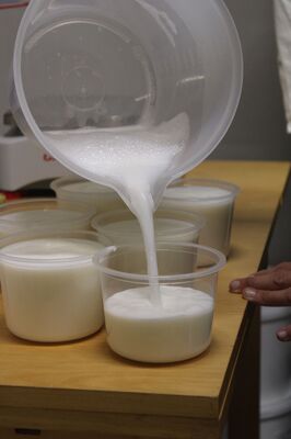 De Ferme en Ferme "L'Ecrin Lacté"_Saint-Régis-du-Coin