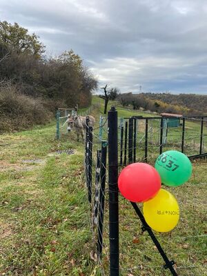 ballons paysage