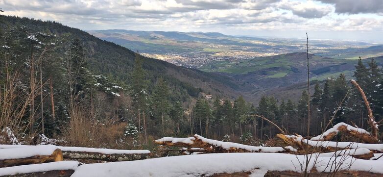 paysage