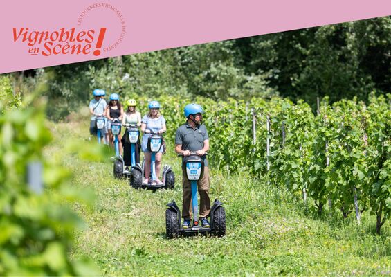 Balade en gyropodes dans les vignobles