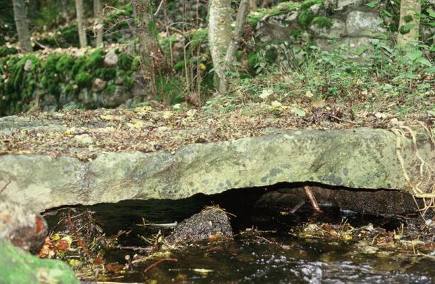 sentier_moulins_A.GEOURJON1 []