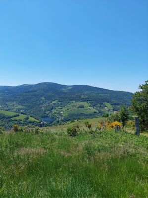 paysage