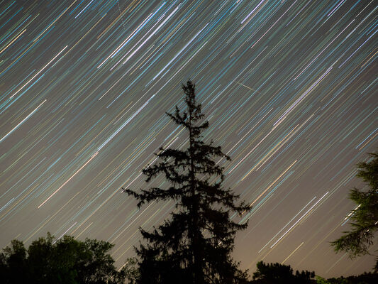 Domaine Corps de Loup : Sous les étoiles de Côte-Rôtie_Tupin-et-Semons