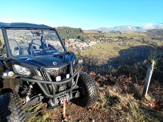 Buggy
