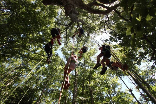 Printemps 2026 - Bougez dans le Pilat - Grimpe d'arbres (à partir de 10 ans) - Collet de Doizieux_Doizieux
