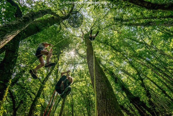 Accrobranche en terrain d'aventure