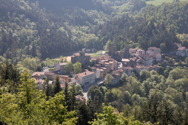 Balade découverte de la biodiversité - Festival Les Roches Celtiques_Rochetaillée