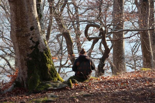 Accrobranche en terrain d'aventure