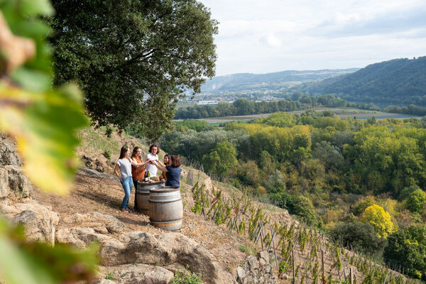 Apéros Vignes au Domaine de Corps de Loup_Tupin-et-Semons