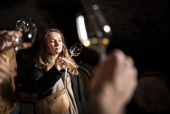 Culture et Vins au Domaine Pichon_Chavanay