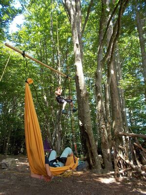 Accrobranche en terrain d'aventure