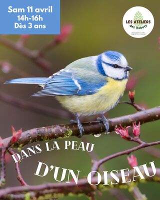 imgcarousel-name-mising