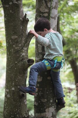 Accrobranche en terrain d'aventure