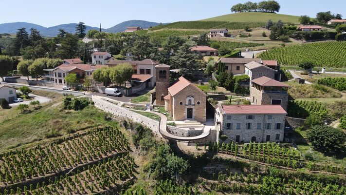Le Rhône et la Vigne, une histoire partagée_Tupin-et-Semons