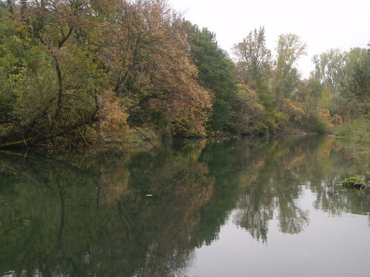 plan d'eau de l'île de la chèvre