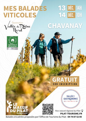 Balade découverte des vignobles de Chavanay_Chavanay
