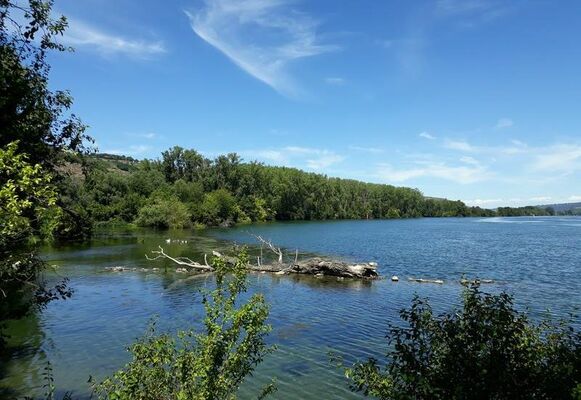 L'île du Beurre en fête_Tupin-et-Semons