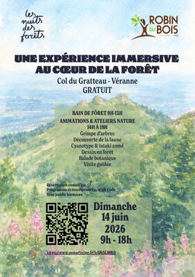 Après-midi immersif en forêt : découverte, nature et sensibilisation_Véranne