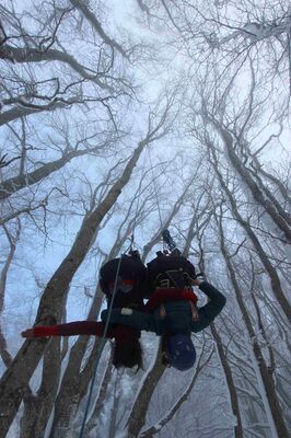 Accrobranche en terrain d'aventure