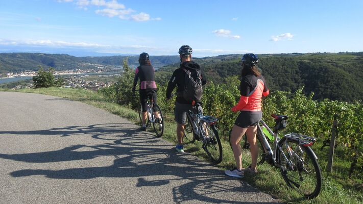 Panorama sur la vallée du Rhône