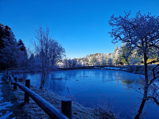 imgcarousel-name-mising