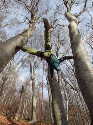 Accrobranche en terrain d'aventure