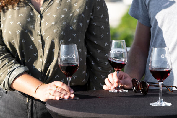 Wine Notes au Domaine Barge_Ampuis