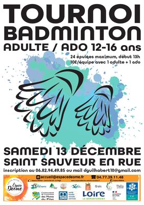 Tournoi badminton_Saint-Sauveur-en-Rue