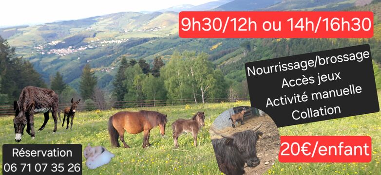 Demi-journée soigneur et découverte de la mini-ferme pédagogique_Rochetaillée