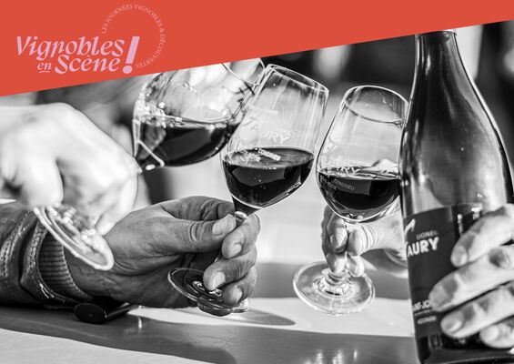 Wine Notes au Domaine Faury_Chavanay