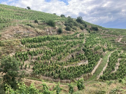 Coteaux